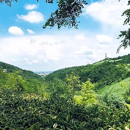 Podere Boschetto R&b Bed & Breakfast Bologna