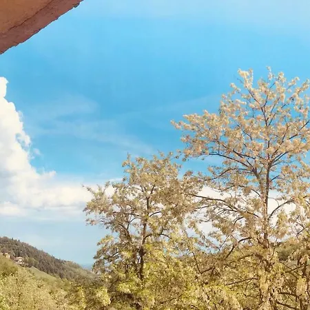 Frühstückspension Podere Boschetto R&b 3*