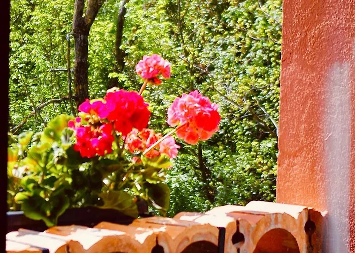 Podere Boschetto R&b B&B 볼로냐