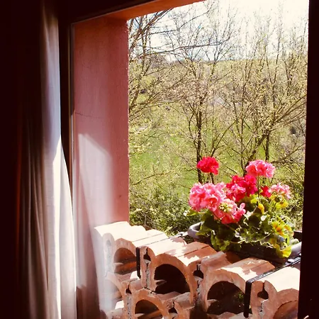 Bed and breakfast Podere Boschetto R&b